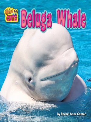 cover image of Beluga Whale